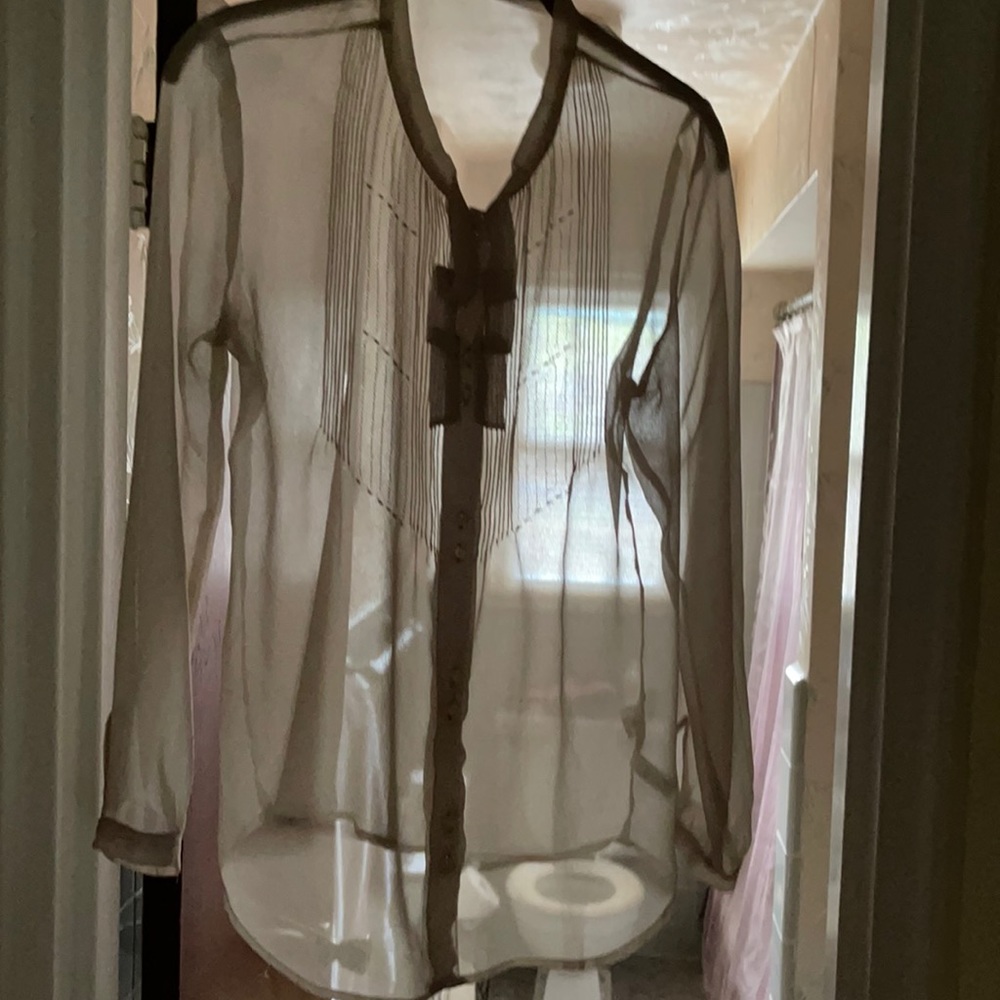GAP beige size 6 sheer smocked, detailed blouse